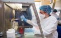 В Крыму выявили 63 новых случаев коронавируса за сутки