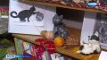 Как в Севастополе отмечают День кошек