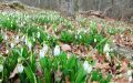 Прогноз погоды на 1 марта: весна в Крыму начнется с небольшого похолодания