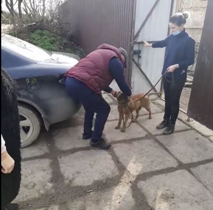 «Обещал больше не теряться»: В Евпатории хозяева нашли в приюте своего потерявшегося пса