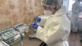 В Крыму выявили еще 63 заболевших коронавирусом