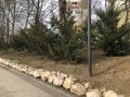 В Симферополе на набережной начали высаживать деревья