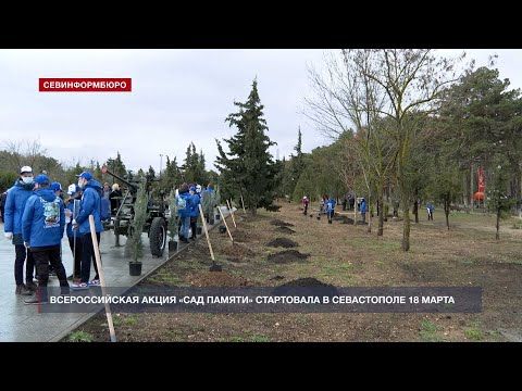 В день воссоединения Крыма с Россией акция «Сад памяти» стартовала в Севастополе