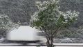 Снова снег и сильный ветер: в Крыму объявили штормовое предупреждение