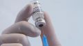 Ялтинский филиал ФМБА не зафиксировал тяжелых последствий вакцинации от коронавируса
