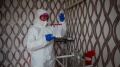 Сергей Аксёнов сообщил о регистрации в Крыму 56 новых случаев коронавирусной инфекции