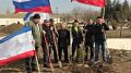 Сотрудниками Минприроды Крыма высажены зеленые насаждения