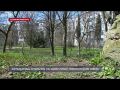 В Севастополе просят убрать кладбище домашних животных из городского сквера