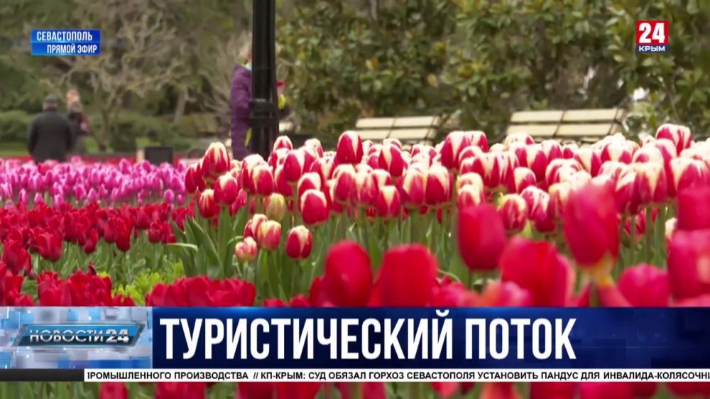 Закрытая Турция – открытый Крым и Севастополь? Сколько туристов ждут в городе-герое на майские праздники?