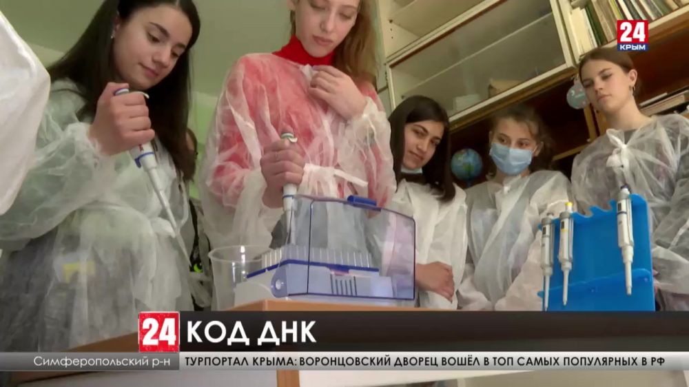 Крымские школьники увидели, как растения раскладывают на гены и находят их формулу