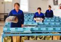 Как будут работать почтовые отделения Крыма в майские праздники