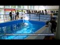 Впервые в Севастополе состоялись соревнования по подводной робототехнике