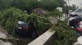 Гроза в Симферополе повалила деревья и превратила улицы в реки