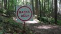 Минприроды Крыма информирует о проведении рубки ухода за лесом вблизи урочища Курлюк-Баш