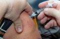 Еще одна антиковидная вакцина — «КовиВак» — поступила в Севастополь
