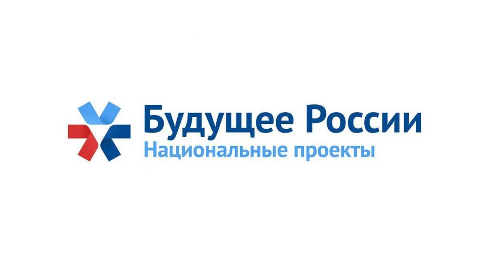 Национальные проекты россии реализация