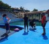 Севастопольский дельфинарий закроется по решению суда