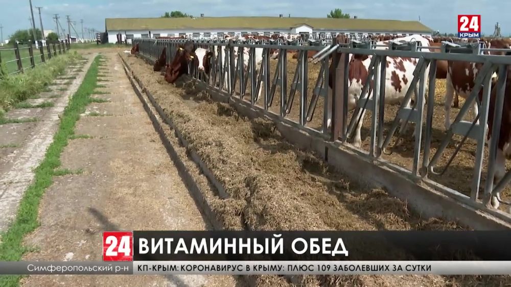Заготовка кормов для животных в Крыму идёт полным ходом