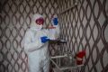 108 случаев коронавируса выявили в Крыму за сутки