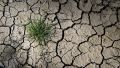 Крыму предрекли засуху через год