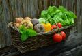 Чем могут быть опасны полезные овощи и фрукты
