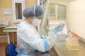 Оперативная сводка по коронавирусу в Севастополе за 13 июня: плюс 35, один умер