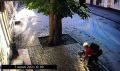 На одной из улиц Симферополя женщина воровала тротуарную плитку