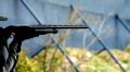 Госдума приняла закон об увеличении возраста приобретения охотничьего оружия до 21 года