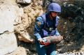 В Севастополе на территории частного домовладения обнаружили 33 боеприпаса времен войны