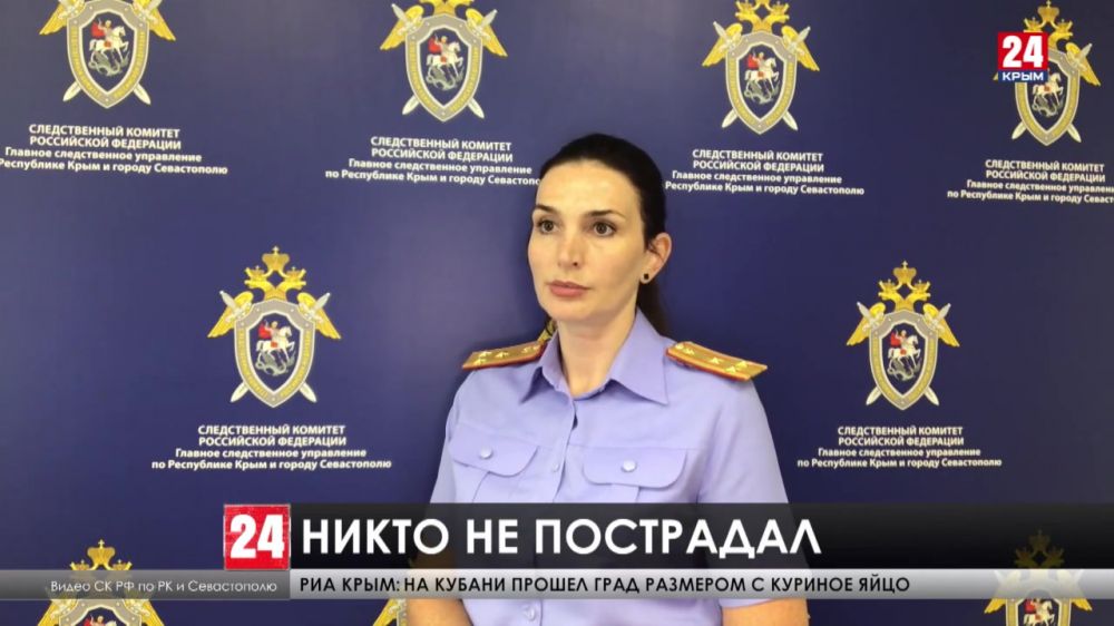 СК провели доследственную проверку по факту инцидента с боингом в аэропорту «Симферополь»