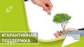Более 820 поручительств предоставил Крымский гарантийный фонд с 2014 года – Ирина Кивико