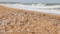 Состояние пляжей Ялты и Керчи оценят после непогоды