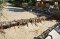Общее количество пострадавших в результате потопа в Ялте выросло до 55 человек