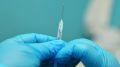 Вакцинация от коронавируса остается добровольной, заявил Песков