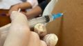 Вакцинацию от гепатита А в Ялте объявили обязательной, отказавшихся отстранят от работы
