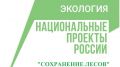 Минприроды Крыма продолжает реализацию регионального проекта «Сохранение лесов»