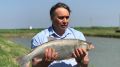 Андрей Рюмшин: За два года ГБУ РК «Крымский рыбопитомник» произвел и выпустил в водохранилища республики более 2,2 миллионов штук мальков карпа и растительноядных видов рыб