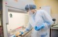 В Крыму зафиксировано еще 316 случаев коронавируса
