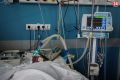 Ещё 337 человек заболели коронавирусом в Крыму