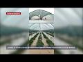 Более 18 тысяч гектаров сельхозугодий в Крыму подтопило