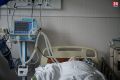 Антирекорд: в Крыму за неделю зафиксировали 54 смерти от коронавируса