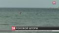 Четыре человека утонули во время купания в шторм на нескольких пляжах Крыма