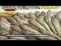 В Севастополе до 2025 года построят 10 рыбопромысловых судов