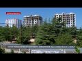 Сотни редких деревьев вырубают в Севастополе ради коммерческого жилья