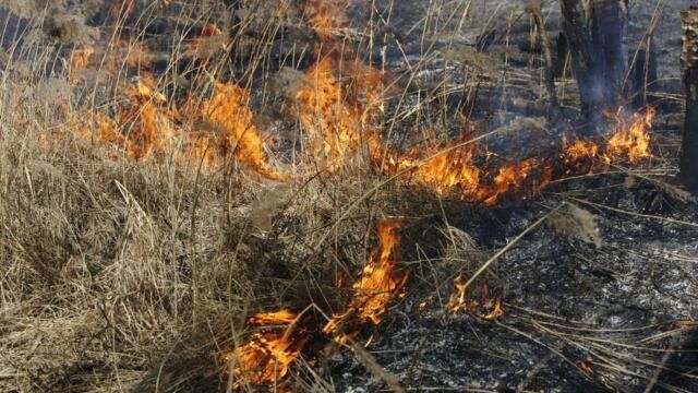 За выходные в Крыму 13 раз горела сухая трава