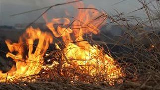 Сергей Садаклиев: в МЧС констатируют увеличение количества возгораний сухой растительности