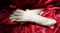 Минкульт РК: Прямой потомок Натальи Ланской передал в дар Музею А.С. Пушкина в Гурзуфе уникальные перчатки из семейного собрания