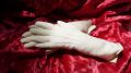 Прямой потомок Натальи Ланской передал в дар Музею А.С. Пушкина в Гурзуфе уникальные перчатки из семейного собрания