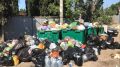 Жители Судака пожаловались на заваленные мусором контейнерные площадки