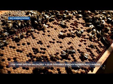 Как делают мёд в Красногвардейском районе Крыма